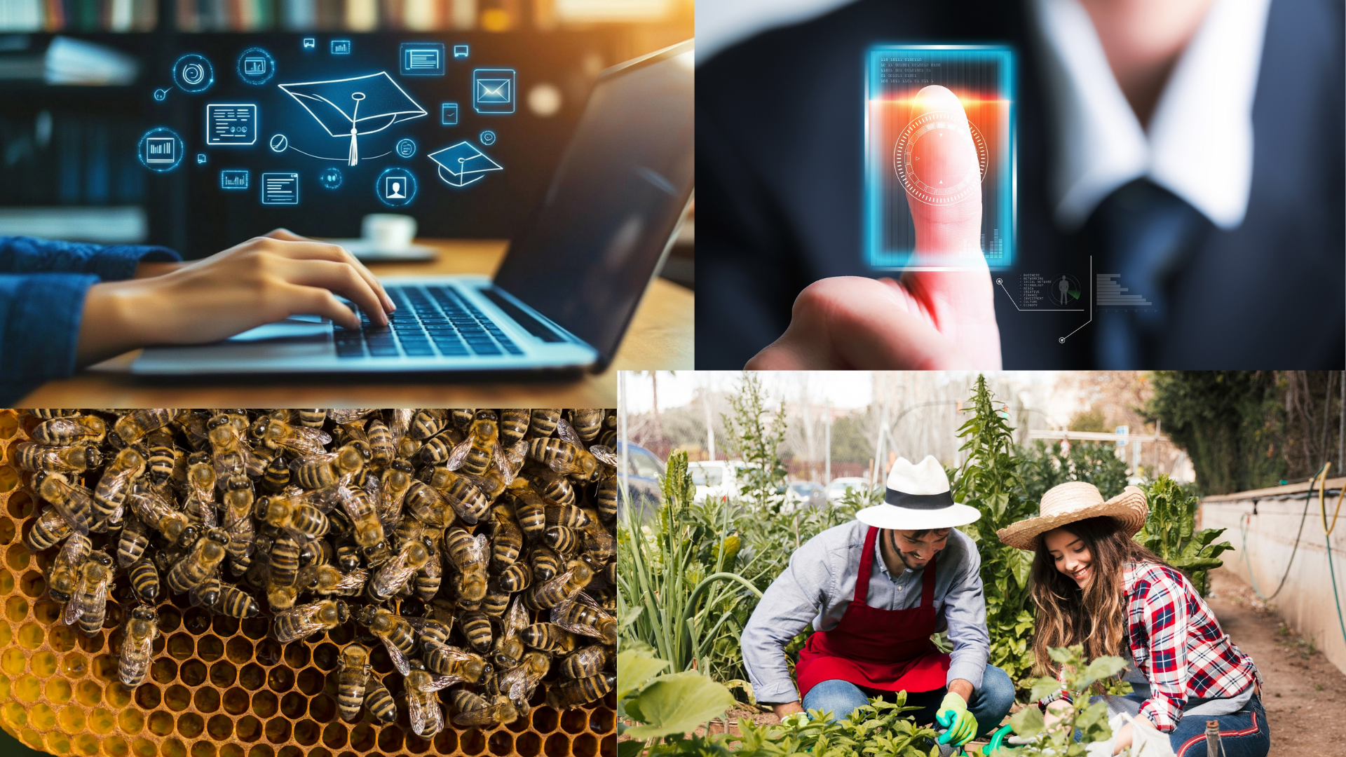 Cuatro proyectos, una misma visión: Impactar a América Latina con Blockchain