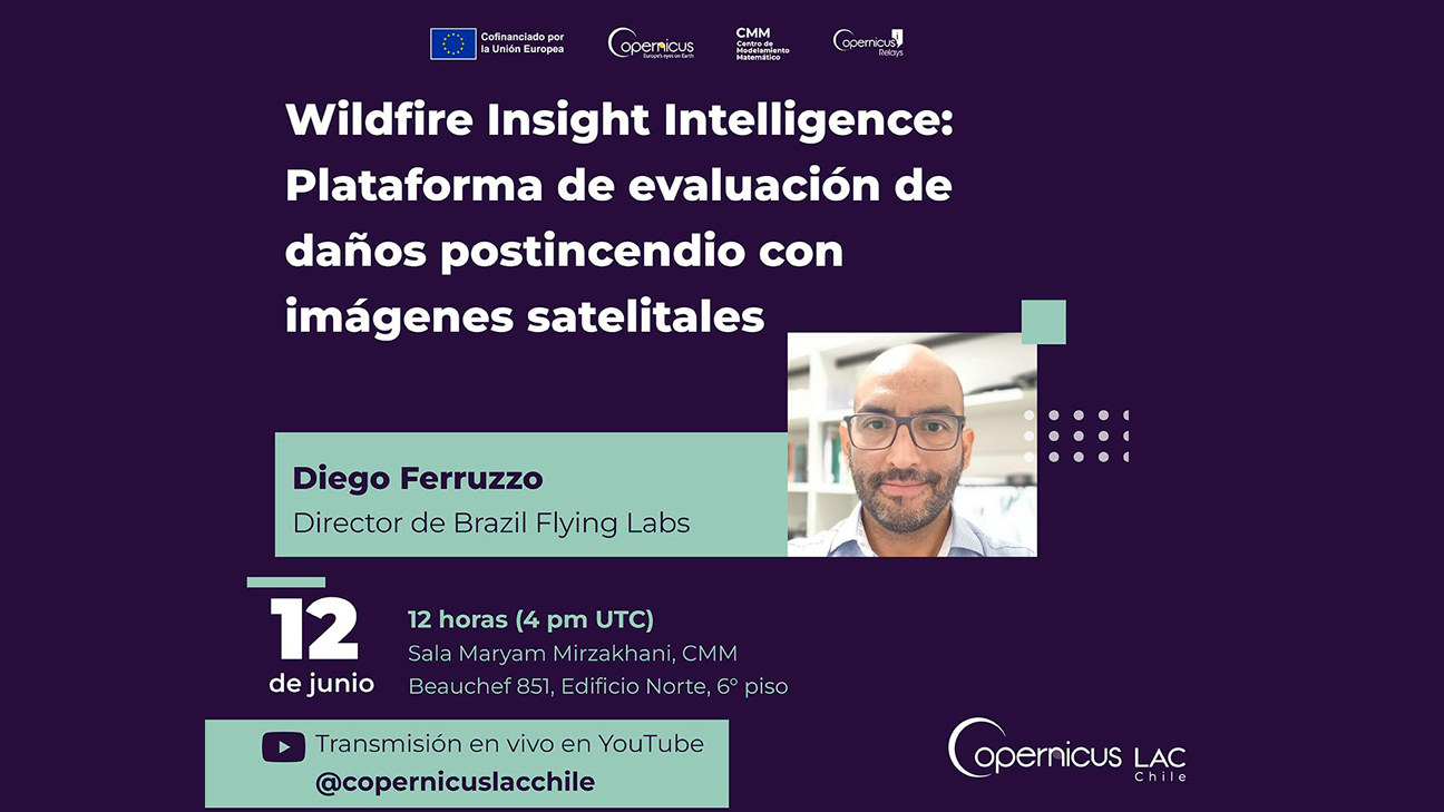 12 de junio, 4 PM UTC: Copernicus Chile invita a seminario sobre evaluación de daños por incendios forestales con imágenes satelitales