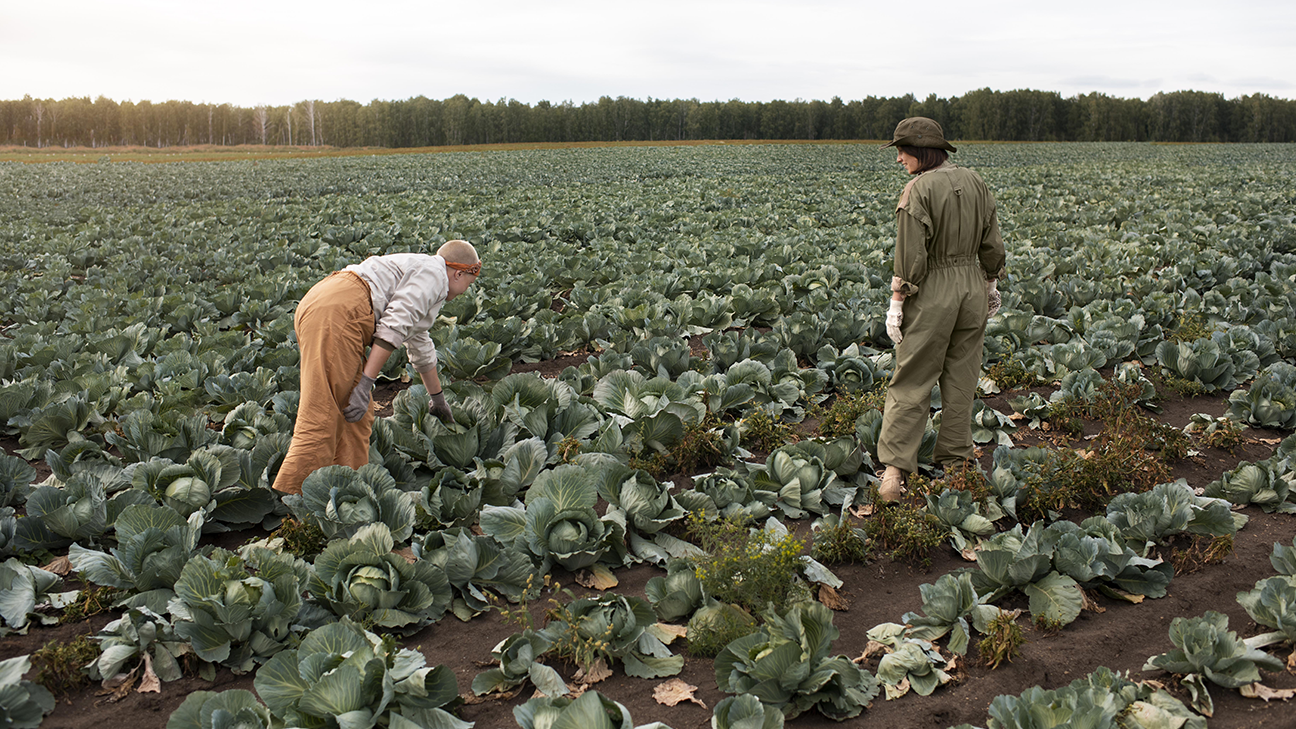 Smart Agro RAF LATAM: Blockchain para la trazabilidad de la agricultura familiar en América Latina Smart Agro RAF LATAM: Blockchain para la trazabilidad de la agricultura familiar en América Latina